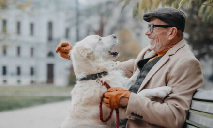 El 91% de los sénior con mascota asegura que les ayuda a sentirse acompañados