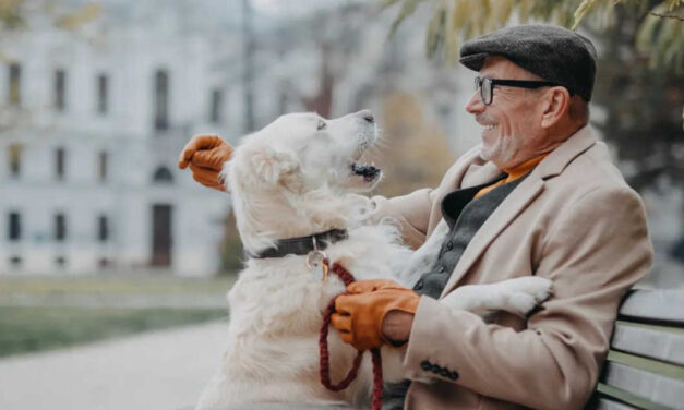 El 91% de los sénior con mascota asegura que les ayuda a sentirse acompañados