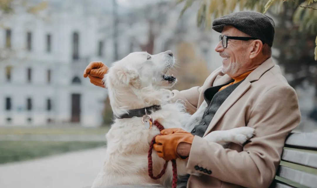 El 91% de los sénior con mascota asegura que les ayuda a sentirse acompañados